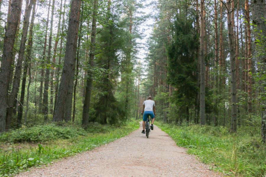 Szlak wokół Tatr, Velo Dunajec czy Velo Czorsztyn? Co wybrać na wycieczkę rowerową z dzieckiem?